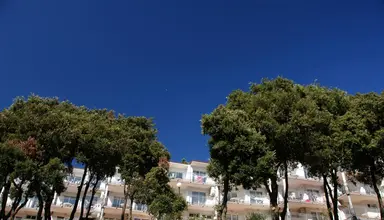 Horizont
