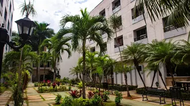 Hotel Tulipan