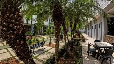 Hotel Tulipan