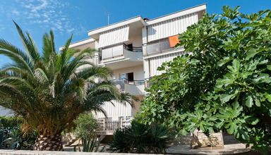 House Apolonia