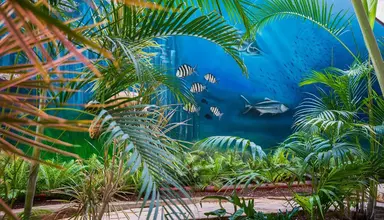 Hovima La Pinta Beachfront Family