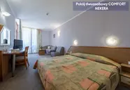 Hrizantema