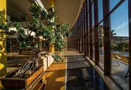 HVD Miramar Club 