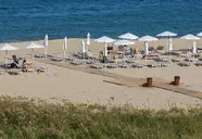 HVD Reina Del Mar