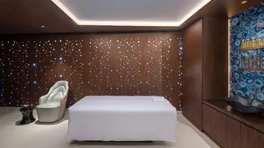 Hyatt Andaz Dubai The Palm
