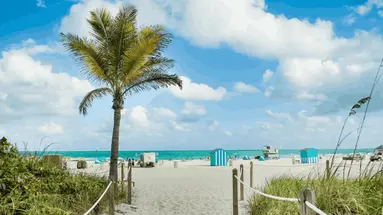 Hyatt Centric South Beach