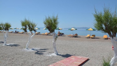 Ialissos Garden