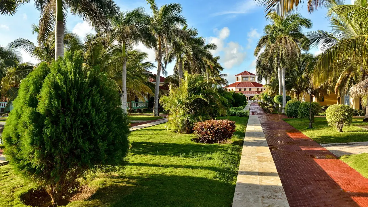 Iberostar Origin Playa Alameda