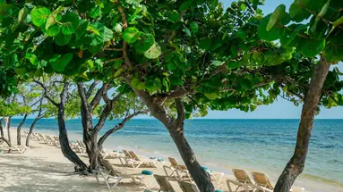 Iberostar Rose Hall Beach