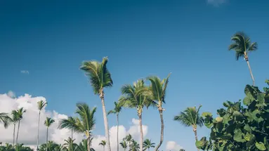 Iberostar Selection Bavaro Suites