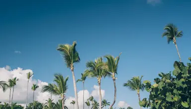 Iberostar Selection Bavaro Suites