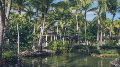 Iberostar Selection Bavaro Suites