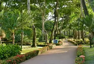 Iberostar Selection Hacienda Dominicus