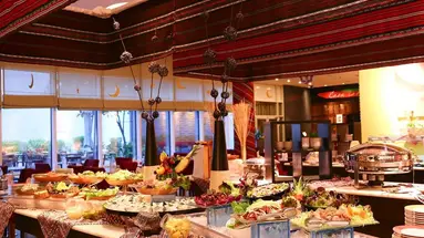 Ibis Dubai Al Barsha