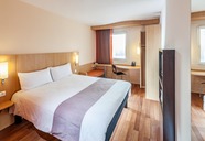 Ibis Plzen