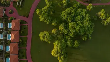 IC Green Palace