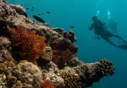 Ifuru Island Maldives