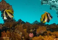 Ifuru Island Maldives