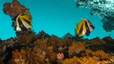 Ifuru Island Maldives