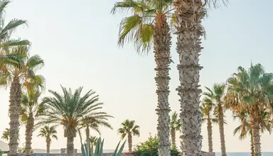Ikaros Beach Luxury Resort & Spa