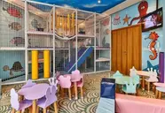 Imperial Conference & SPA