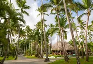 Impressive Premium Resort