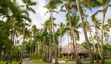 Impressive Premium Resort