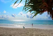 Indigo Beach