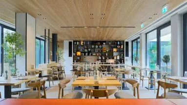Indigo Larnaca