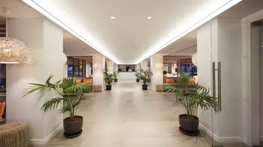 Insotel Tarida Playa