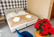 Instytut Zdrowia Sofra