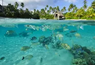 InterContinental Bora Bora Resort