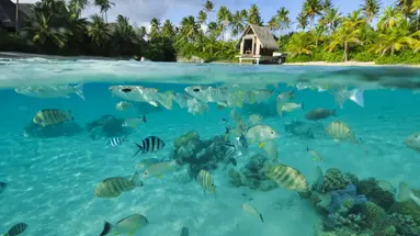InterContinental Bora Bora Resort