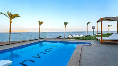 Invidia Coral Beach Tiran