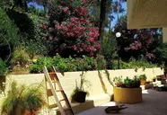 Ionian View Studios