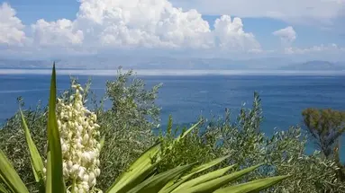 Ionian View Studios