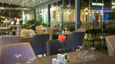 Ionis Art