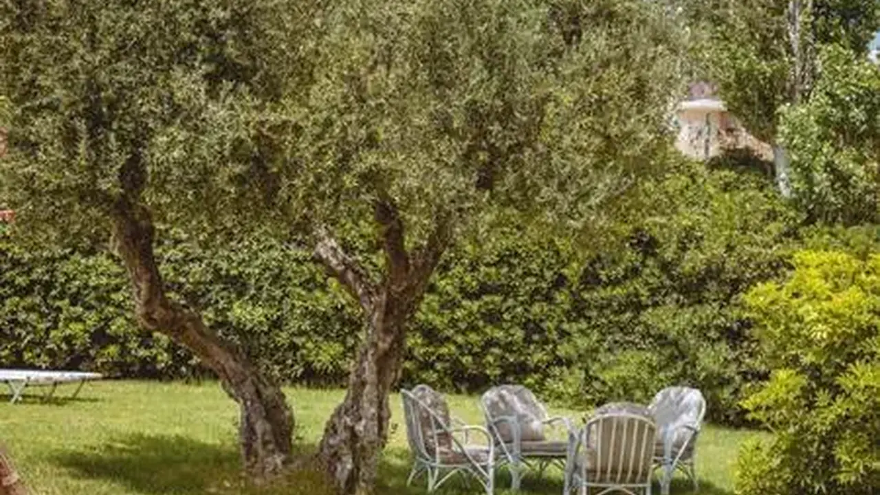 Iphigenia Mythic Retreat