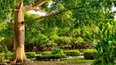 Irotama Resort