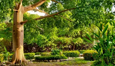 Irotama Resort
