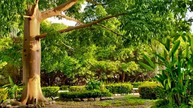 Irotama Resort
