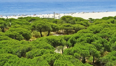 Isla Cristina Palace