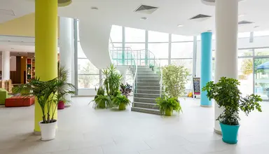 Ivana Palace