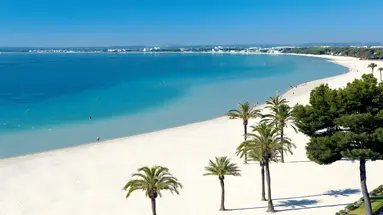 Ivory Playa