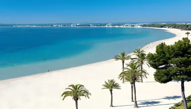 Ivory Playa