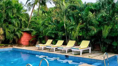 Ivy Morjim - AM Kollection