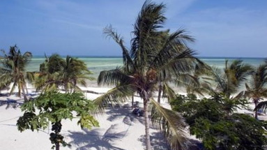 Jacaranda Beach Resort