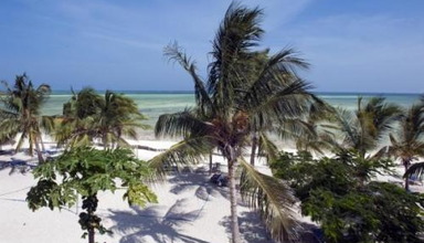 Jacaranda Beach Resort