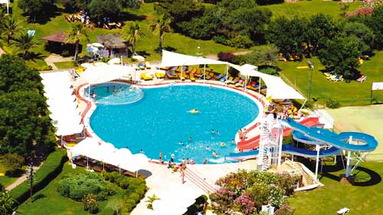 Jacaranda Beach