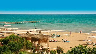Jacaranda Beach